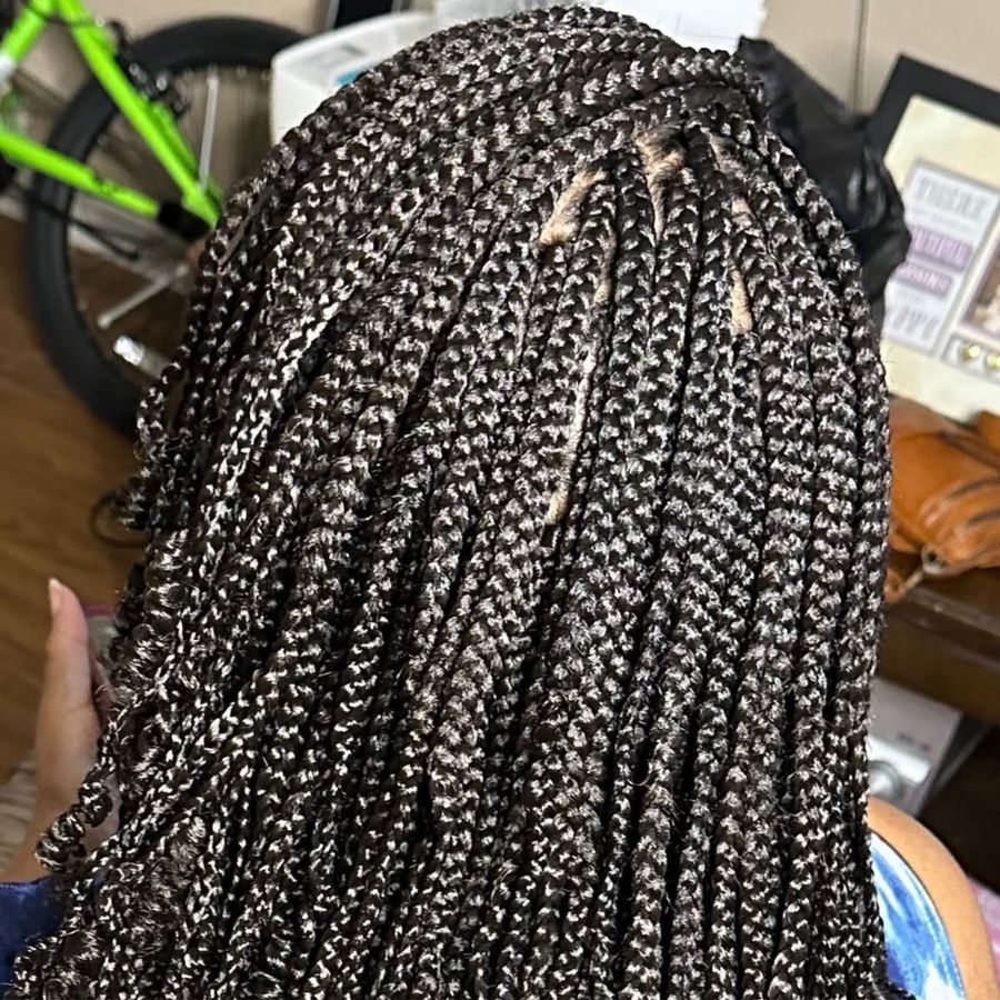 Small Beauti Box Braids
